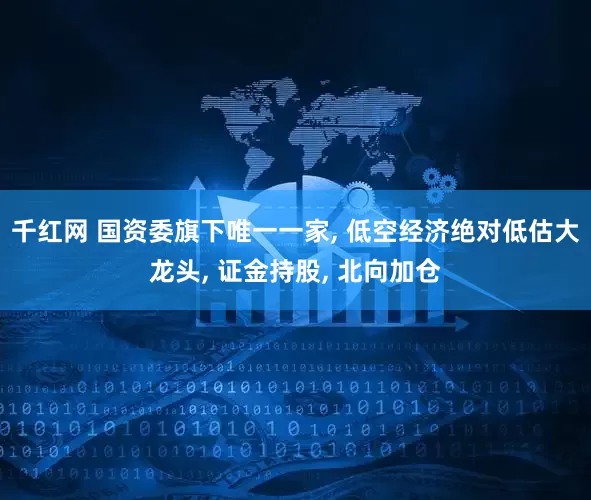 千红网 国资委旗下唯一一家, 低空经济绝对低估大龙头, 证金持股, 北向加仓