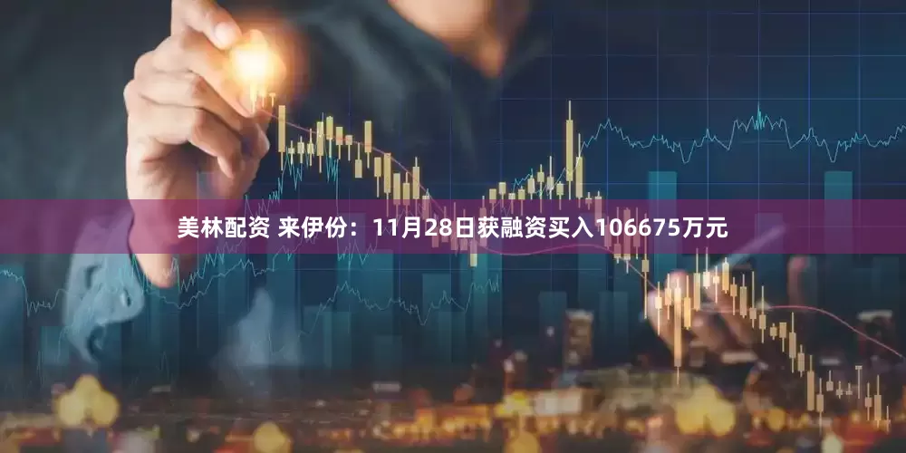美林配资 来伊份：11月28日获融资买入106675万元